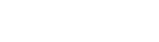 FleetRisk-logo-white